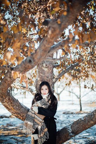 知否知否应是绿肥红瘦全集免费观看